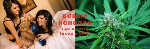 молекула духа Лиски