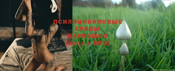 молекула духа Лиски