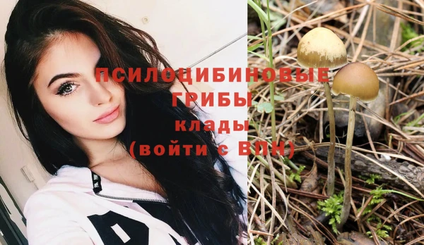 герыч Лагань