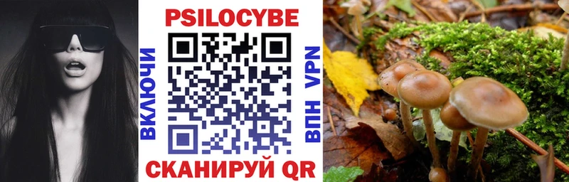 магазин    Новоаннинский  ОМГ ОМГ   Псилоцибиновые грибы GOLDEN TEACHER 
